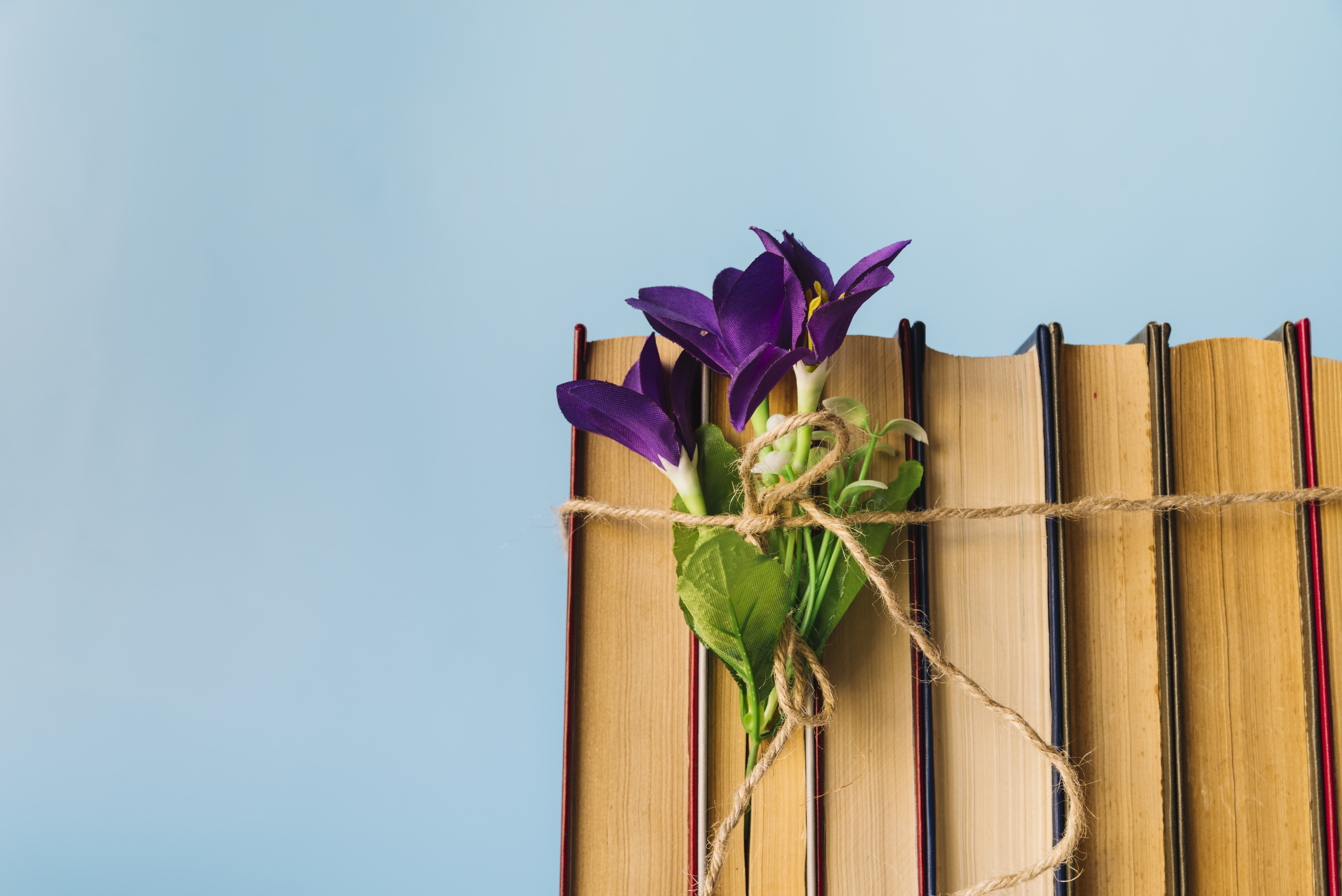 Jewish Women Authors Book Discussion Group